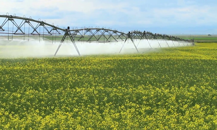 Jó hírek az öntö &hellip;